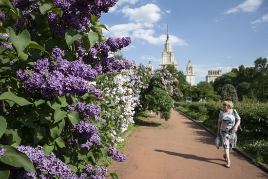 Russia Daily Life