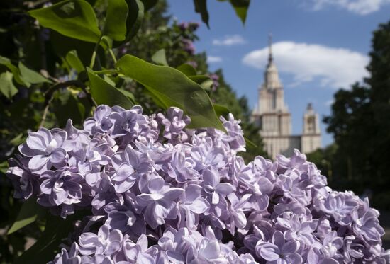 Russia Daily Life