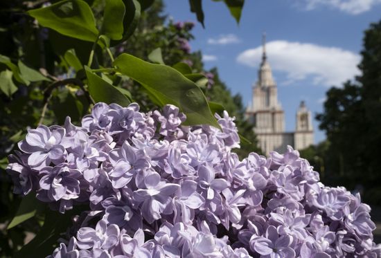 Russia Daily Life