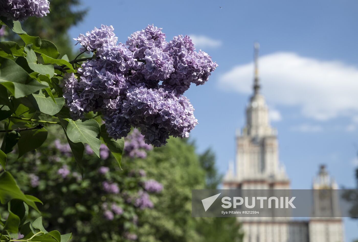 Russia Daily Life
