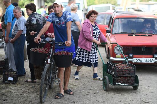 Ukraine Russia Military Operation Daily Life