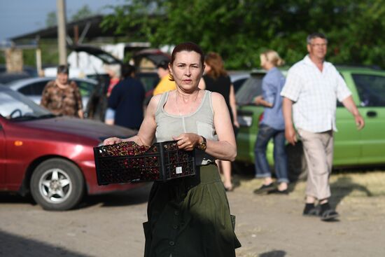 Ukraine Russia Military Operation Daily Life