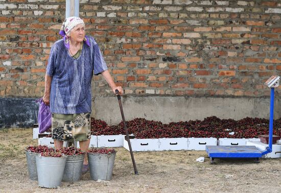 Ukraine Russia Military Operation Daily Life