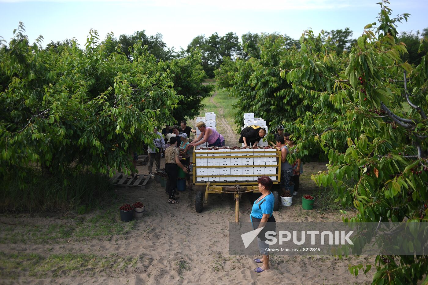 Ukraine Russia Military Operation Daily Life