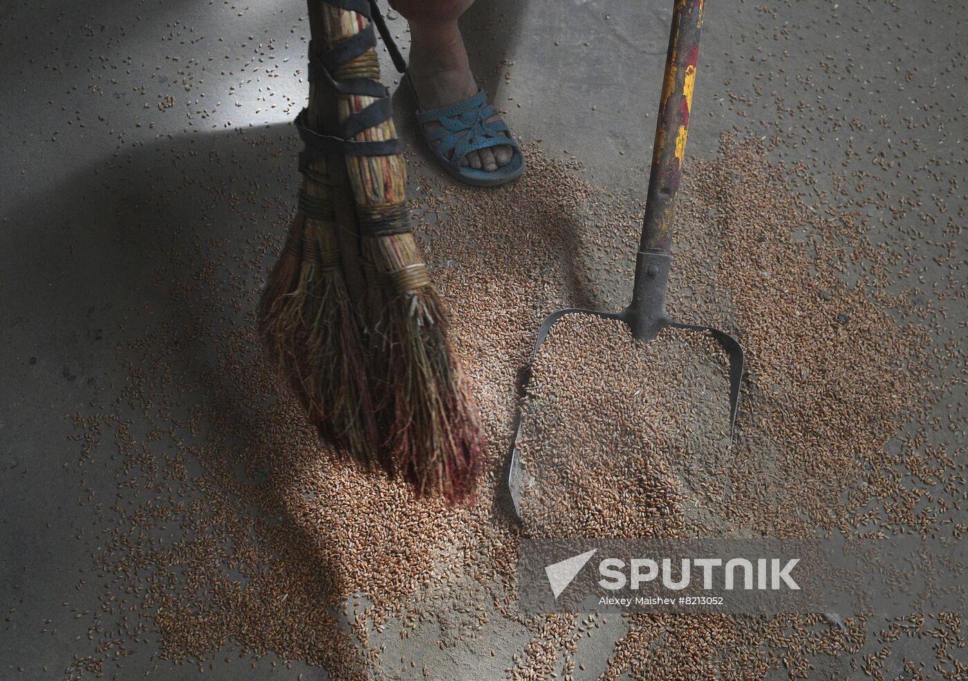 Ukraine Russia Military Operation Plant