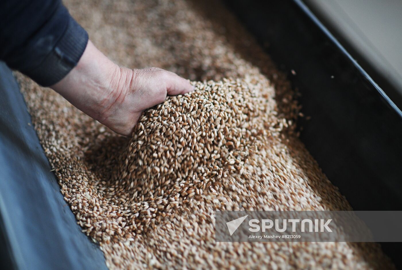 Ukraine Russia Military Operation Plant