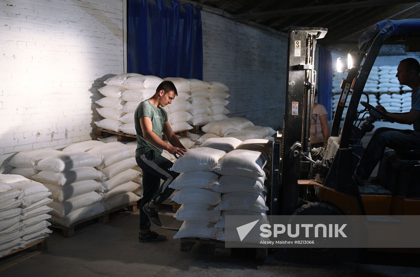 Ukraine Russia Military Operation Plant