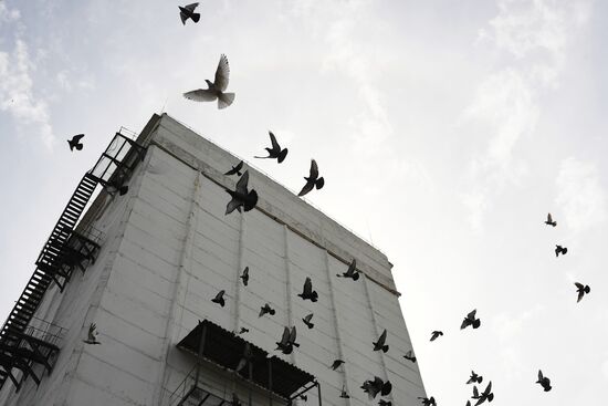 Ukraine Russia Military Operation Plant