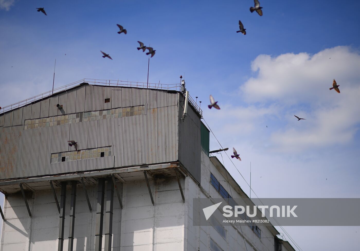Ukraine Russia Military Operation Plant