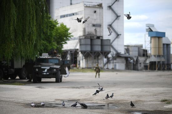Ukraine Russia Military Operation Plant