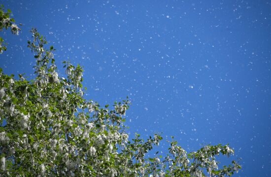 Russia Weather