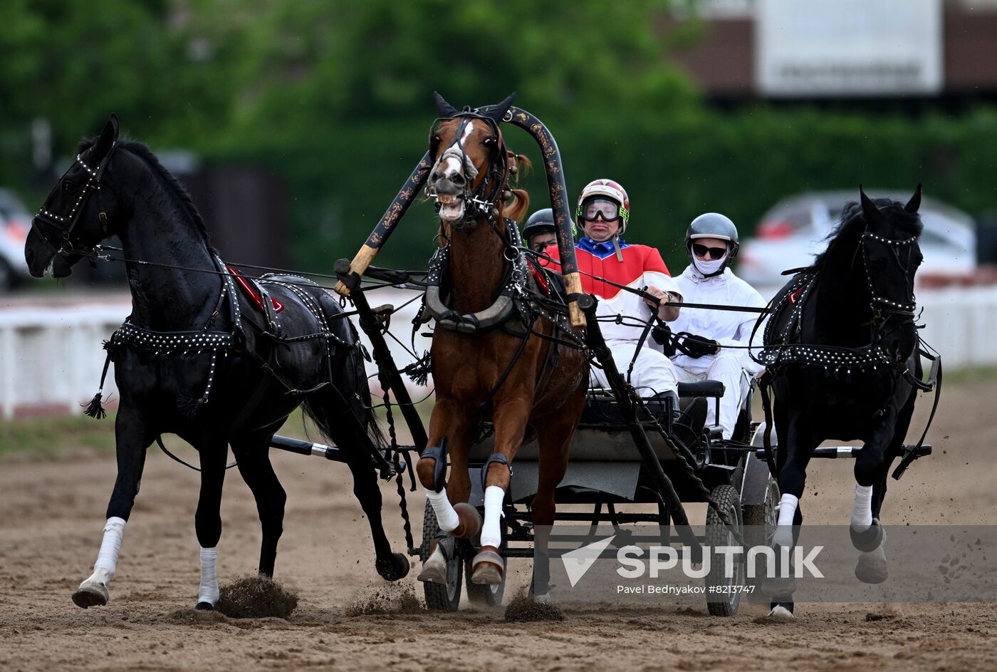 Russia Horse Breeding Troika Races