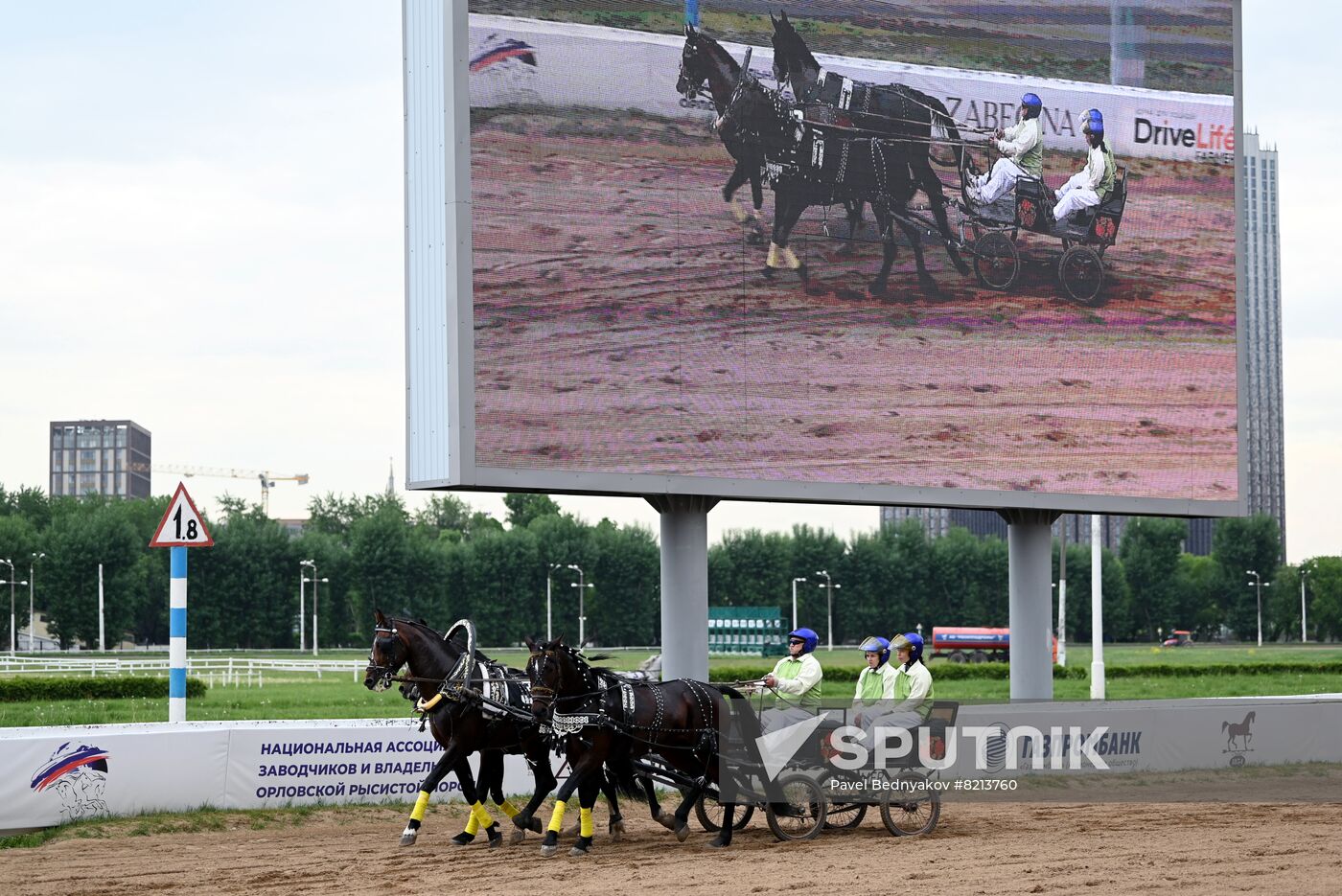 Russia Horse Breeding Troika Races