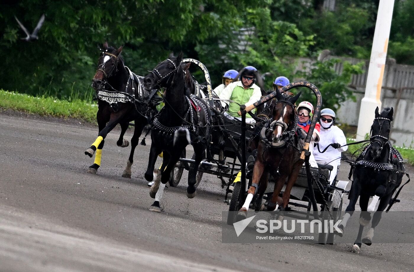 Russia Horse Breeding Troika Races