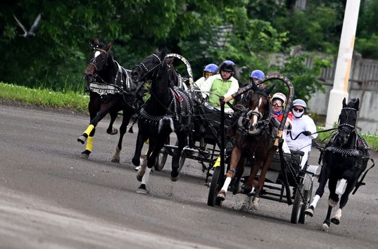 Russia Horse Breeding Troika Races