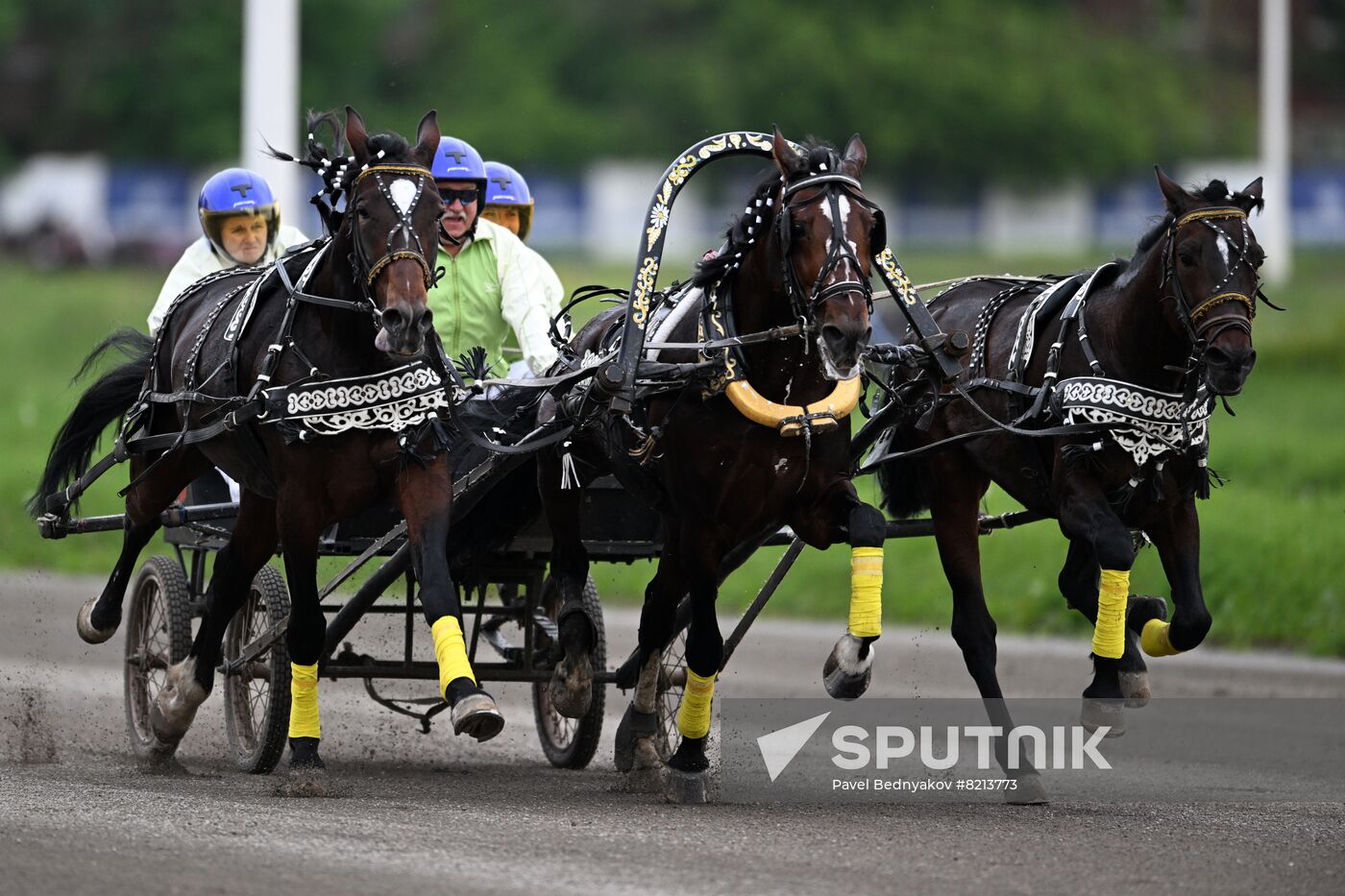 Russia Horse Breeding Troika Races