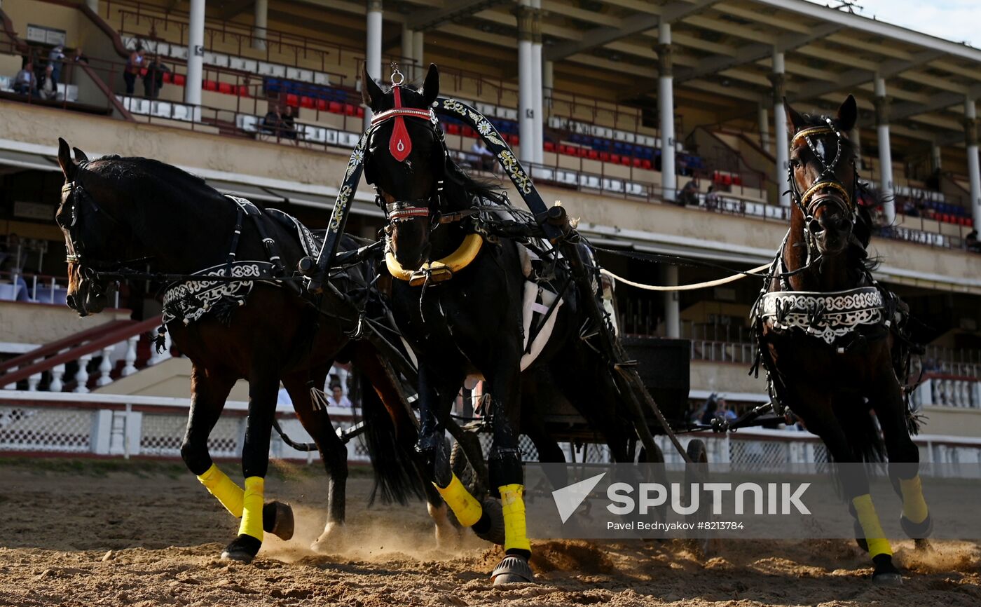 Russia Horse Breeding Troika Races