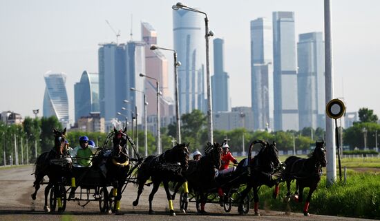 Russia Horse Breeding Troika Races