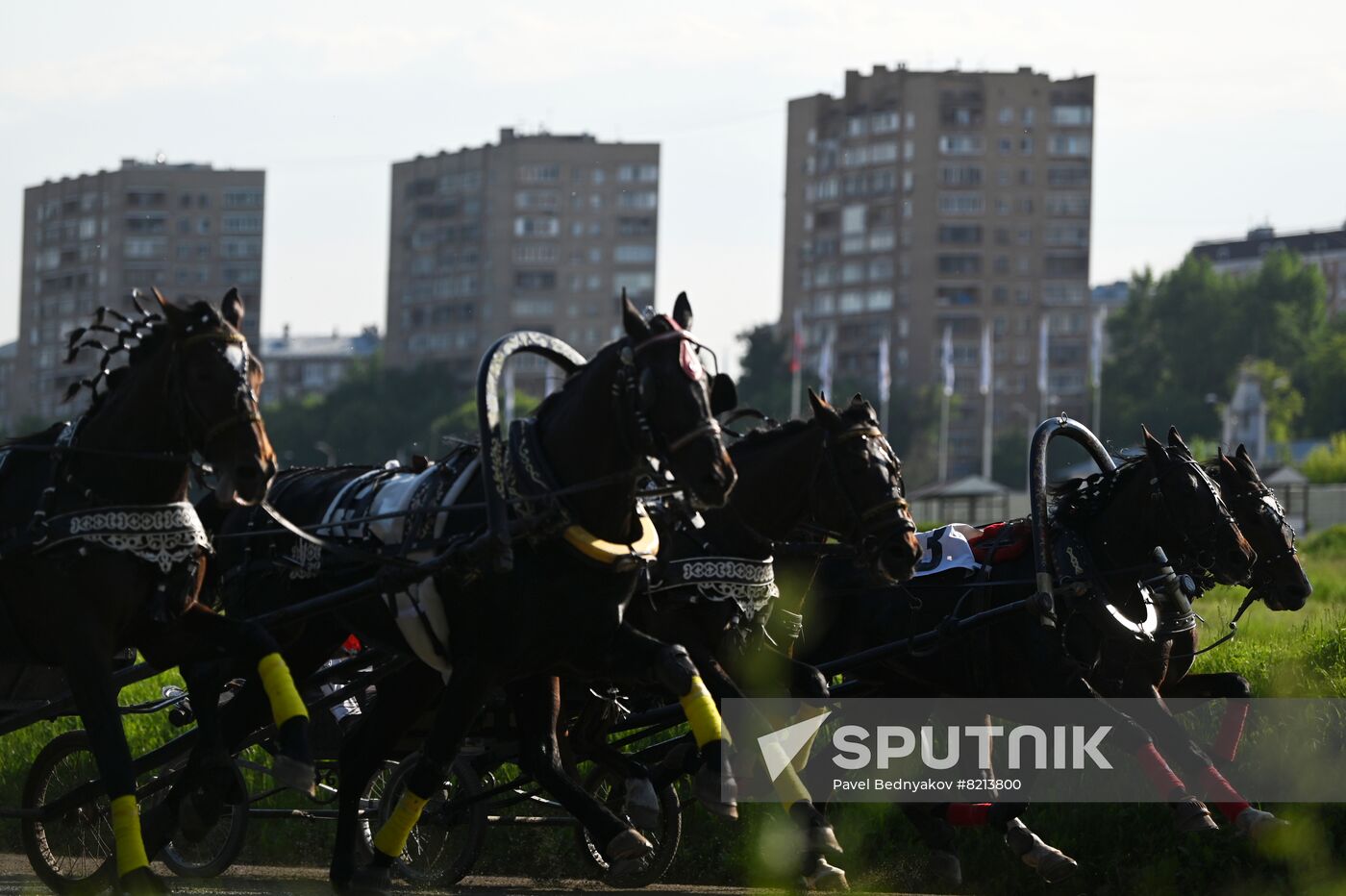 Russia Horse Breeding Troika Races