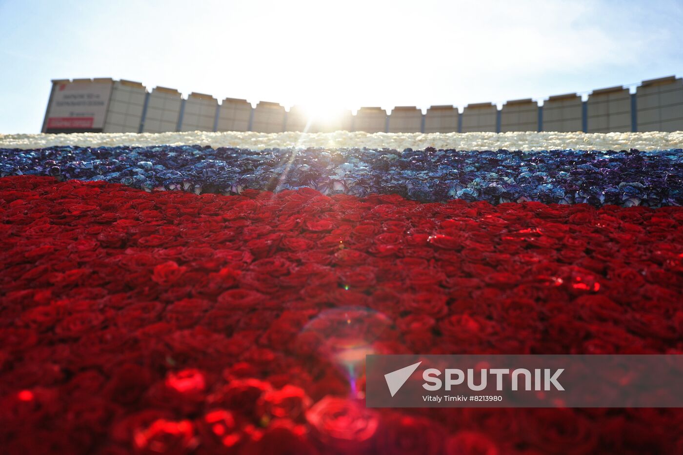 Russia Day Regions Celebration