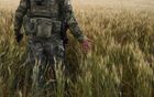 Ukraine Russia Military Operation Wheat Fields