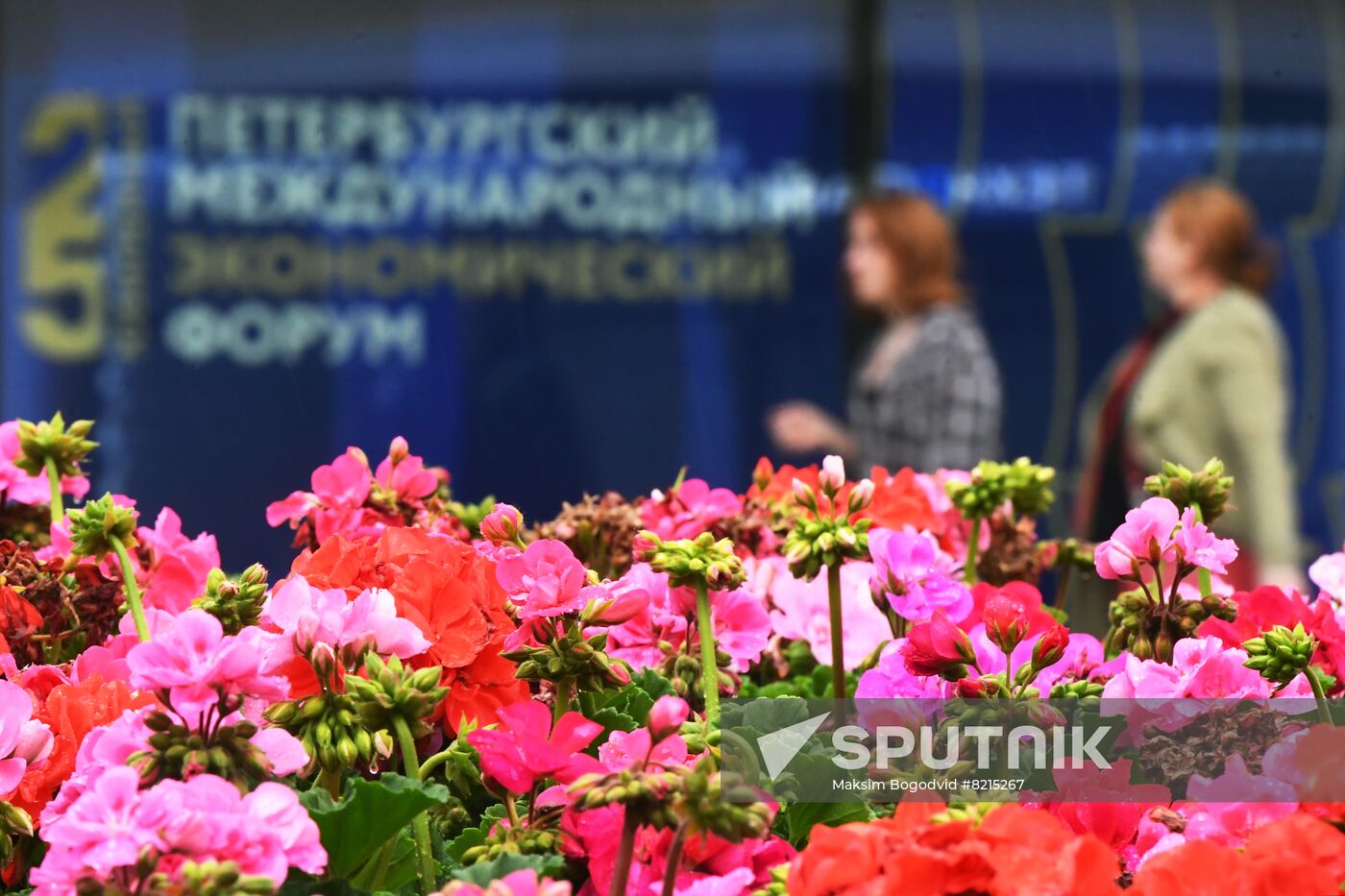 Russia SPIEF Preparations