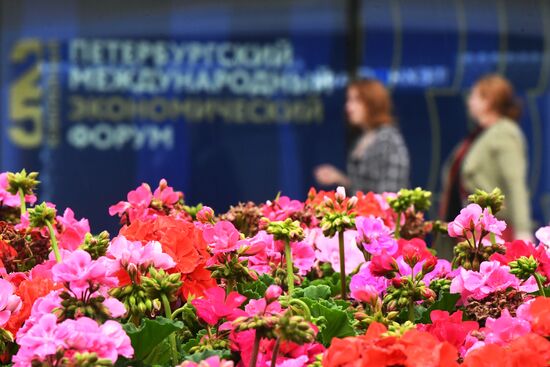Russia SPIEF Preparations
