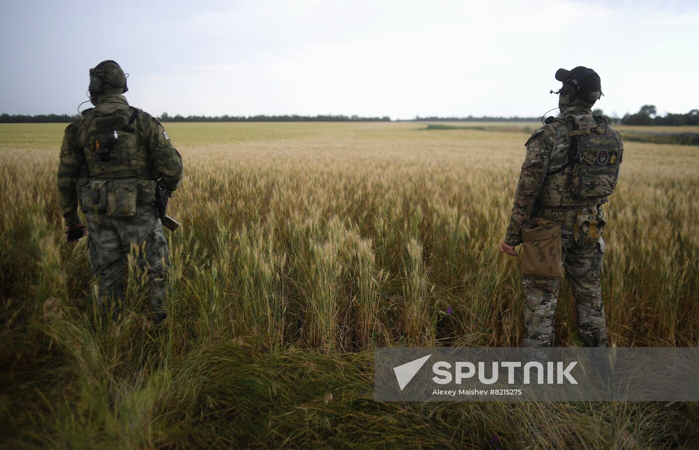 Ukraine Russia Military Operation Wheat Fields