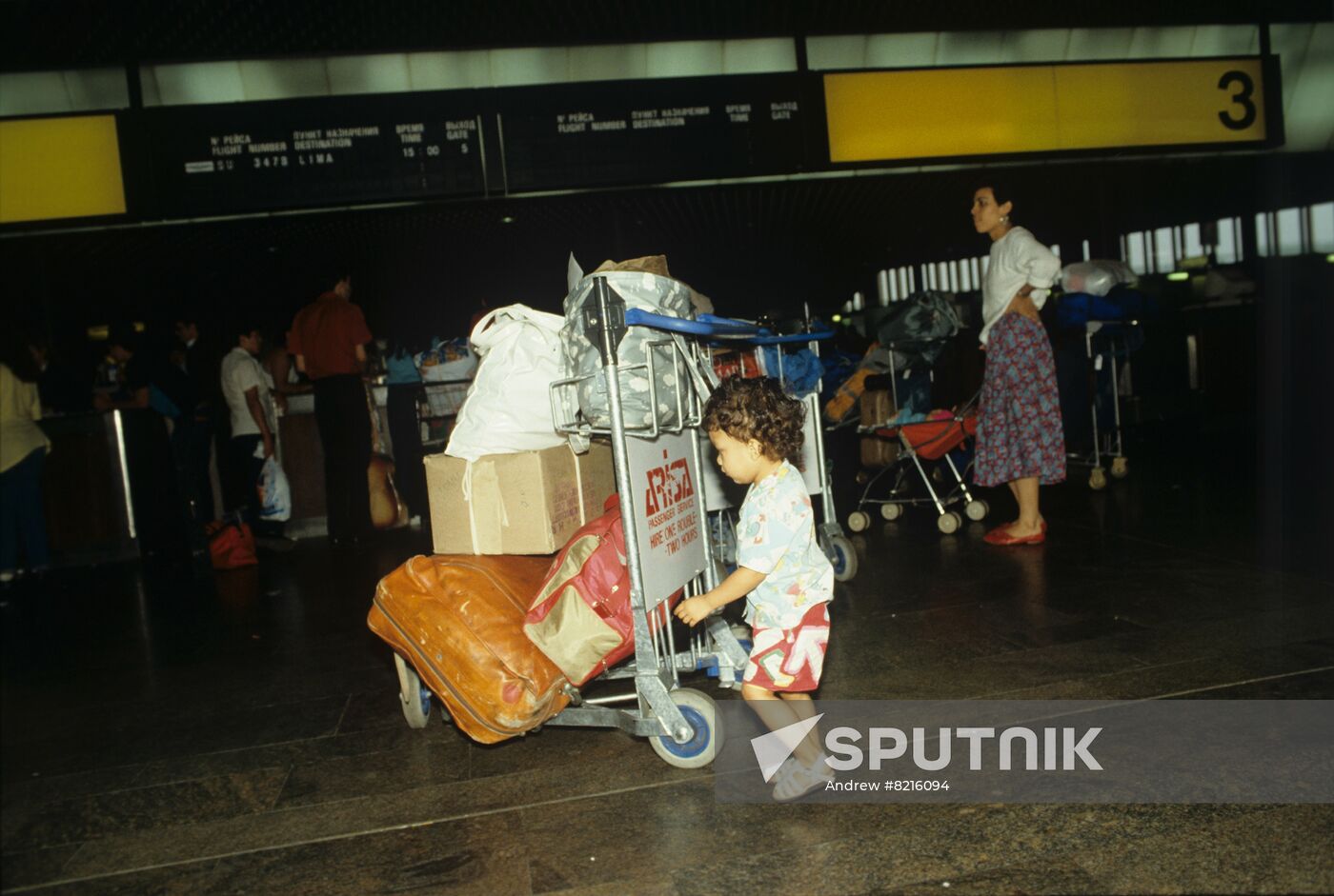 Customs control at Sheremetyevo Airport