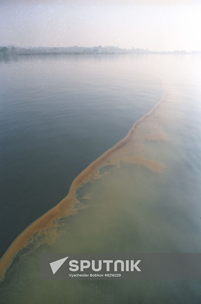 Eco Black Sea 1990 international conference
