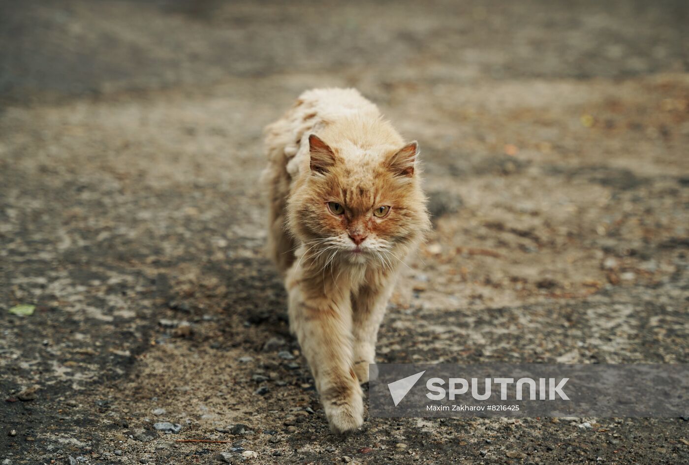 LPR Russia Ukraine Military Operation Daily Life