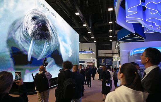 Russia SPIEF Sidelines