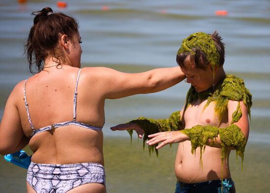Russia Environment Algae Bloom