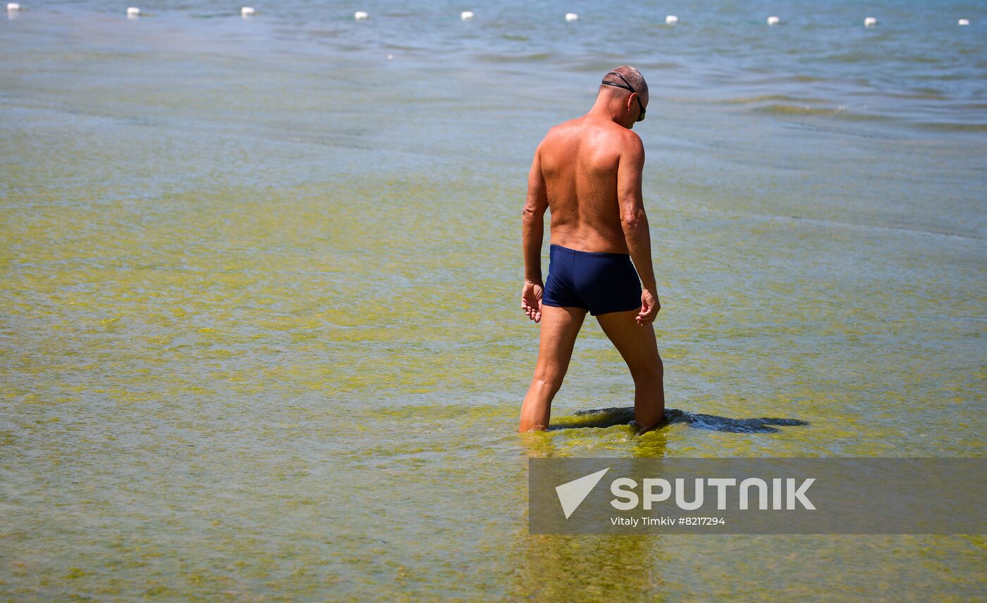 Russia Environment Algae Bloom