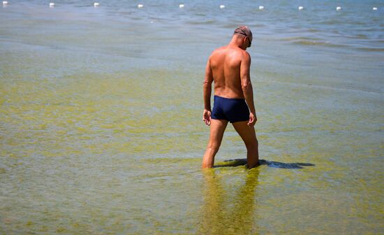 Russia Environment Algae Bloom