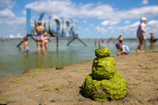 Russia Environment Algae Bloom