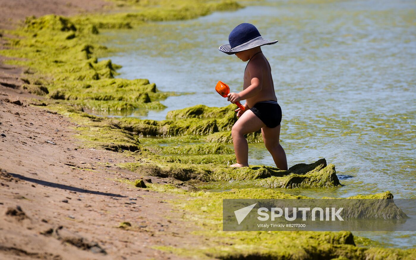 Russia Environment Algae Bloom