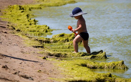Russia Environment Algae Bloom