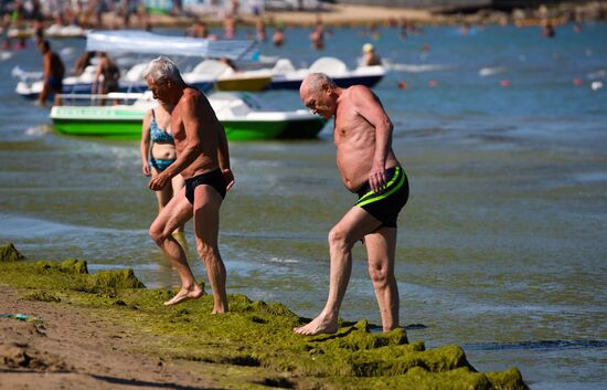 Russia Environment Algae Bloom