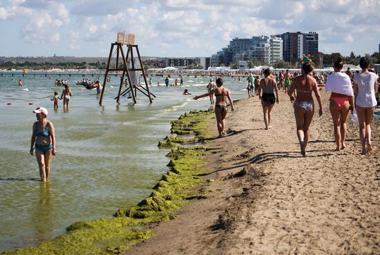 Russia Environment Algae Bloom
