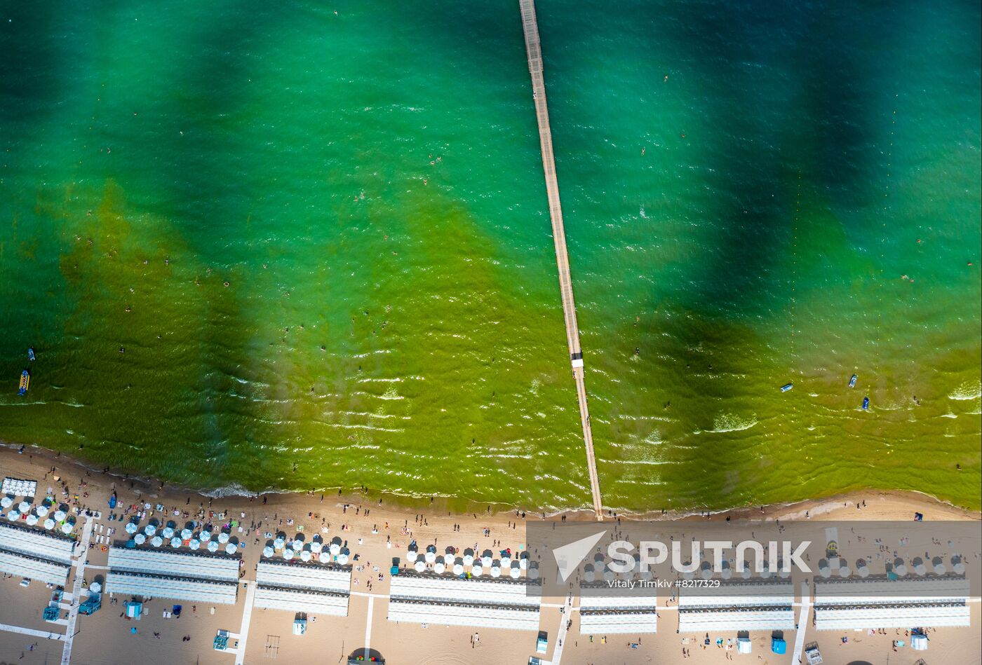 Russia Environment Algae Bloom
