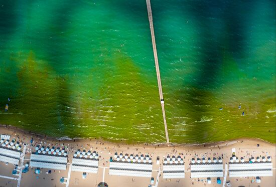 Russia Environment Algae Bloom