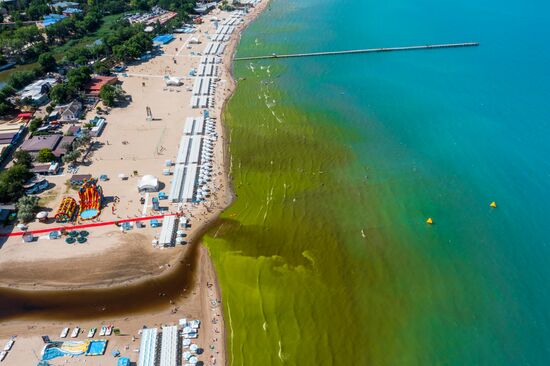 Russia Environment Algae Bloom