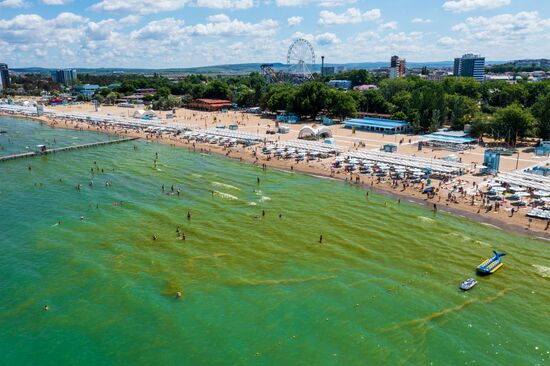 Russia Environment Algae Bloom