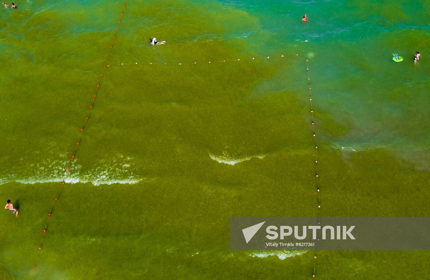 Russia Environment Algae Bloom