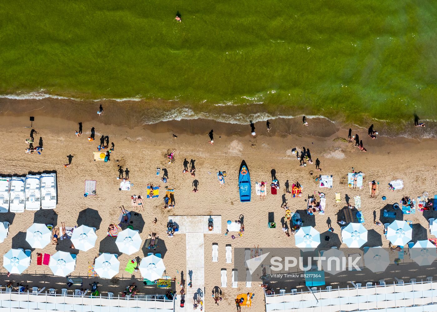 Russia Environment Algae Bloom