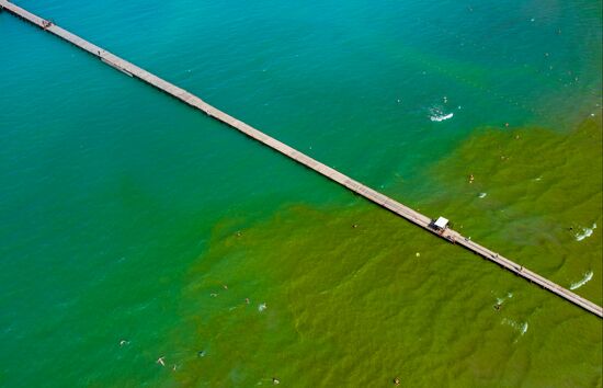 Russia Environment Algae Bloom