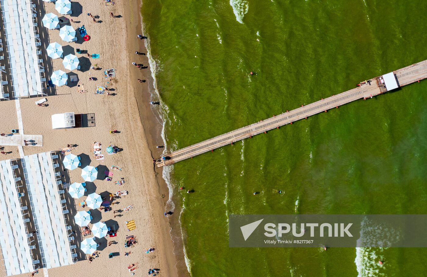 Russia Environment Algae Bloom