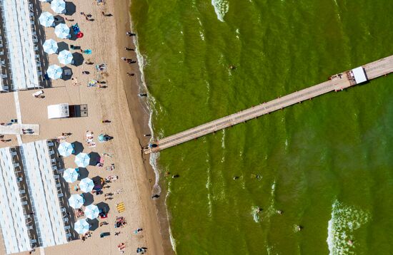 Russia Environment Algae Bloom