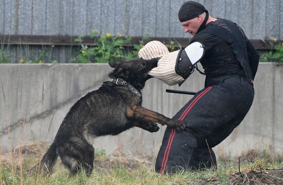 Russia Dog Handlers Competition